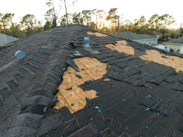 Best Cold Roofs  in Louisvle, IL